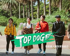 猫咪AV成人《TOP DOG》免费在线观看