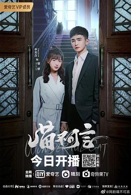 猫咪破解《喵不可言》免费在线观看