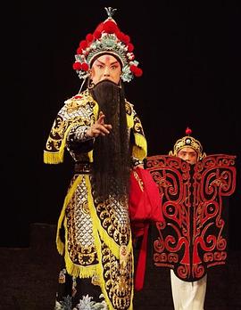 猫咪破解《袁崇焕2009》免费在线观看